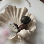 Resin shell-shaped bowl wall-mounted used as fruit holder