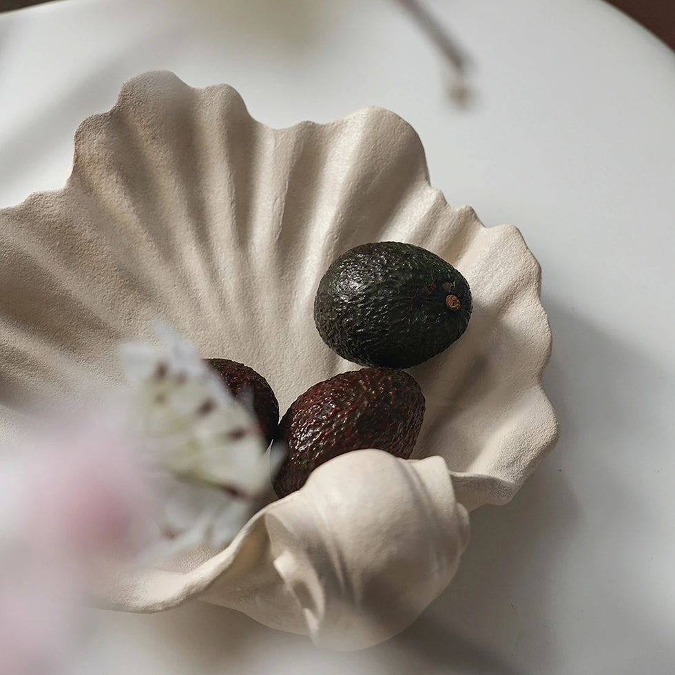 Resin shell-shaped bowl wall-mounted used as fruit holder